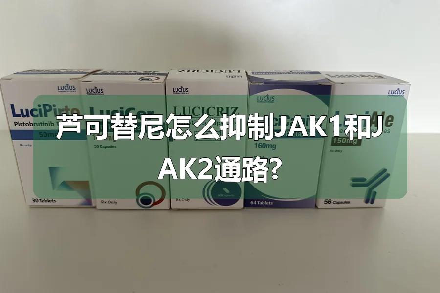 芦可替尼怎么抑制JAK1和JAK2通路?